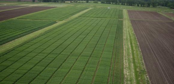 Agriculture Agriculture